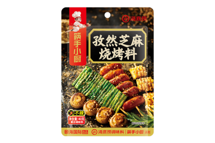 Haidilao Dipping Cumin Sesame Bbq Powder 海底捞孜然芝麻烧烤料 40GM（VIP会员价：RM3.50）